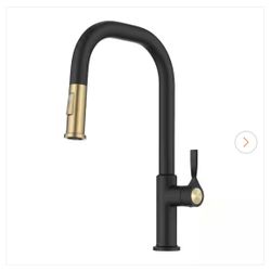 Matte Black Kitchen Faucet 