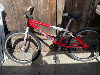 24" Redline BMX
