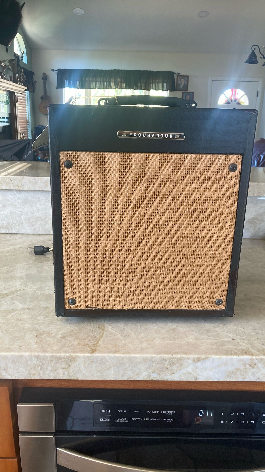 Ibanez Troubadour T35 Acoustic Amplifier.