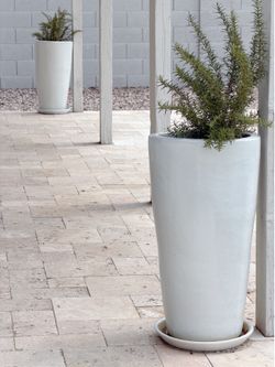 Heavy Pearly Outdoor White Planters with Rosemary