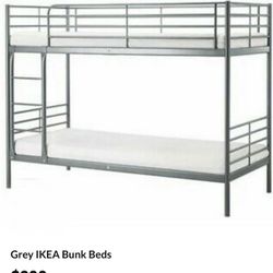 Bunk beds 