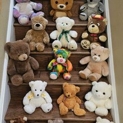 Who Let The Bears Out? New or NMC Teddy Bears from Top Brand Makers