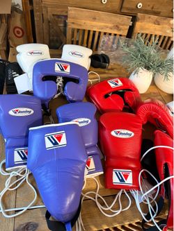 Winning Boxing Gloves, Cup and Headgear (set)