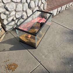 40 Gallon Fish Tank
