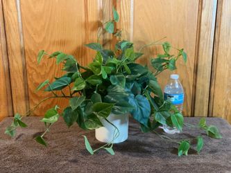 Faux Pothos Artificial Plant with White Pot 17"H x27"W