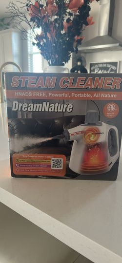 Portable steam cleaner