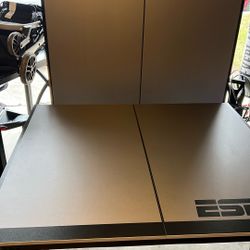 Ping Pong Table 