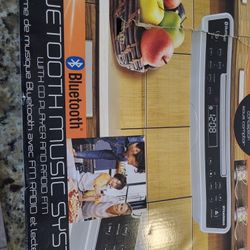 Bluetooth Music System