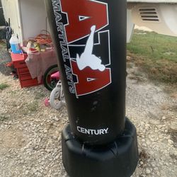 Punching Bag