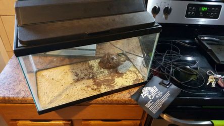 10 gallon fish tank with heating pad
