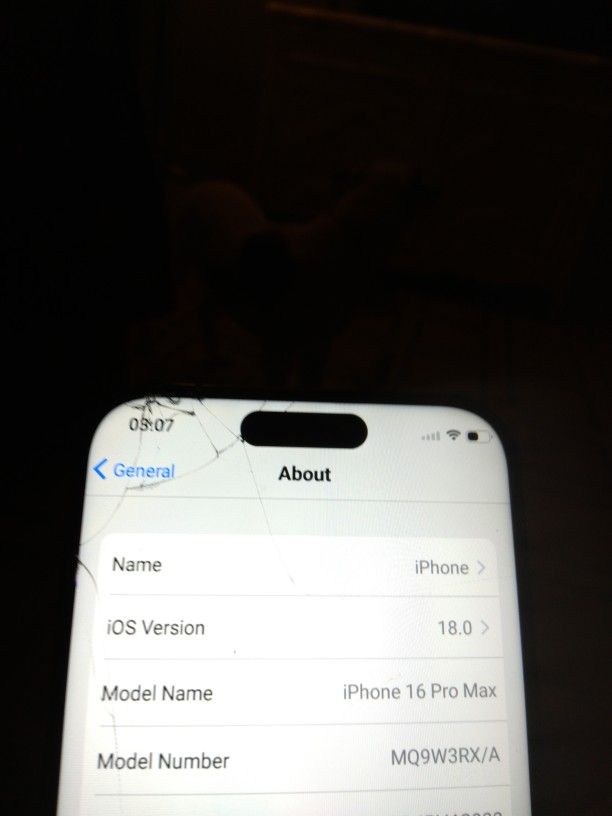 iPhone 16 Pro Max
