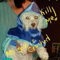 New medium sized doggie raincoat