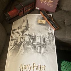 Harry Potter Collectible Items