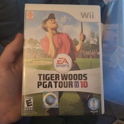 Tiger Woods PGA Tour 10