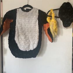 Halloween costume 