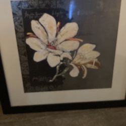 2 Flower Pictures 