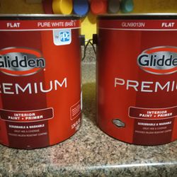 Gidden interior Premium Paint and Primer