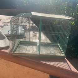 Bird Cage