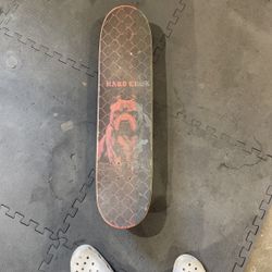 Skate Board