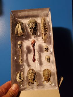 Limited edition skull pack, containing 10 human and Alien skulls.