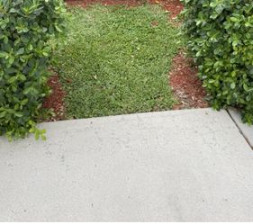 Grave Site