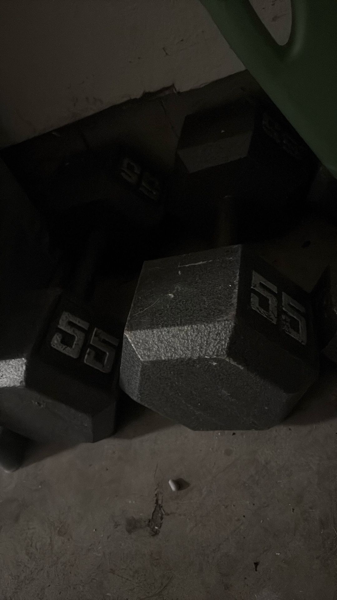 55 Pound Dumbbells 