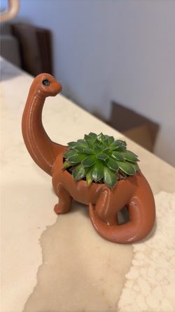Plant