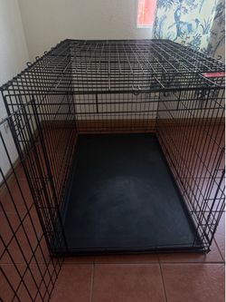 XXL dog crate