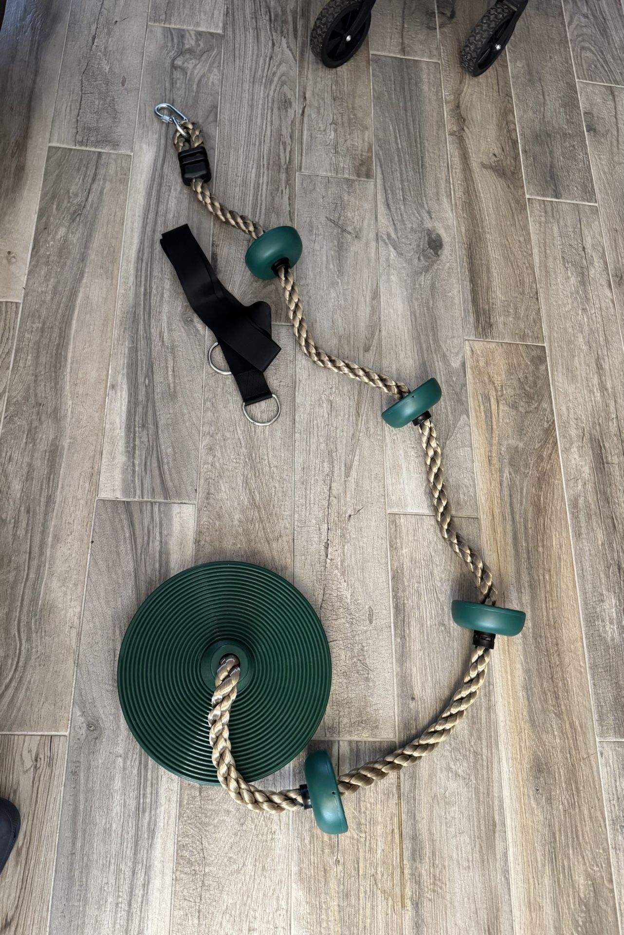Tree Swing