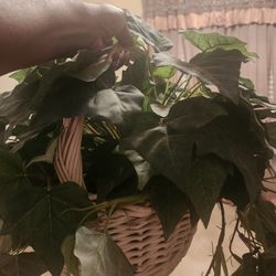 Artificial plant