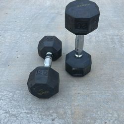 Ignite 20LBS Dumbbell 