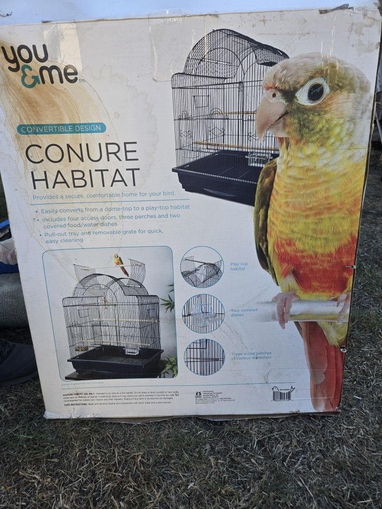 Bird Cage
