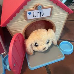 Toy Dog House