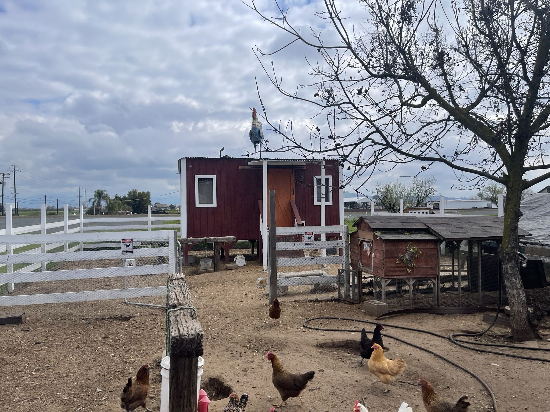 XXXXL CHICKEN COOP for Sale. Not The Chickens. for Sale in Fresno, CA