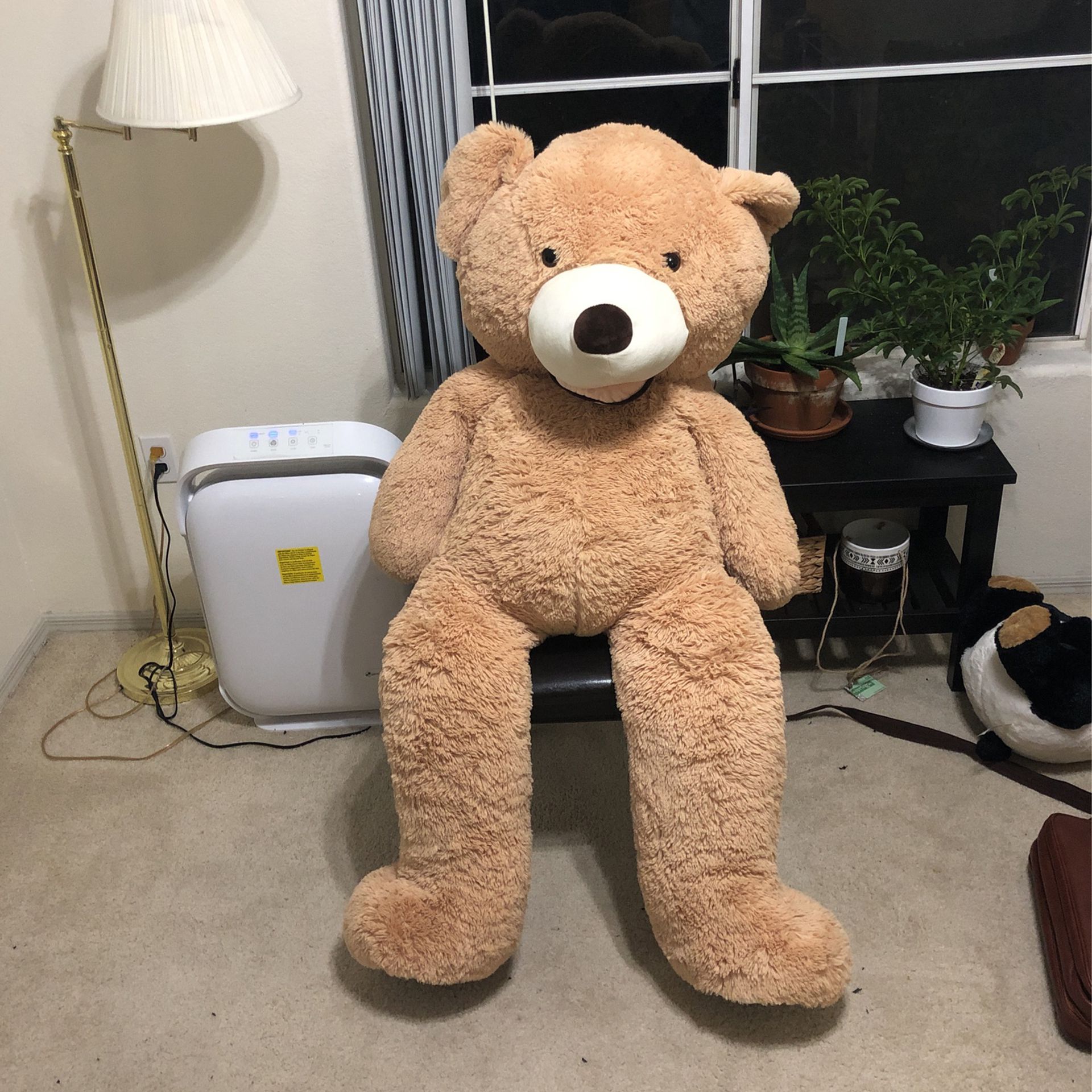 Full Size Teddy Bear For Sale
