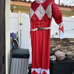 Power Ranger Costume Xl