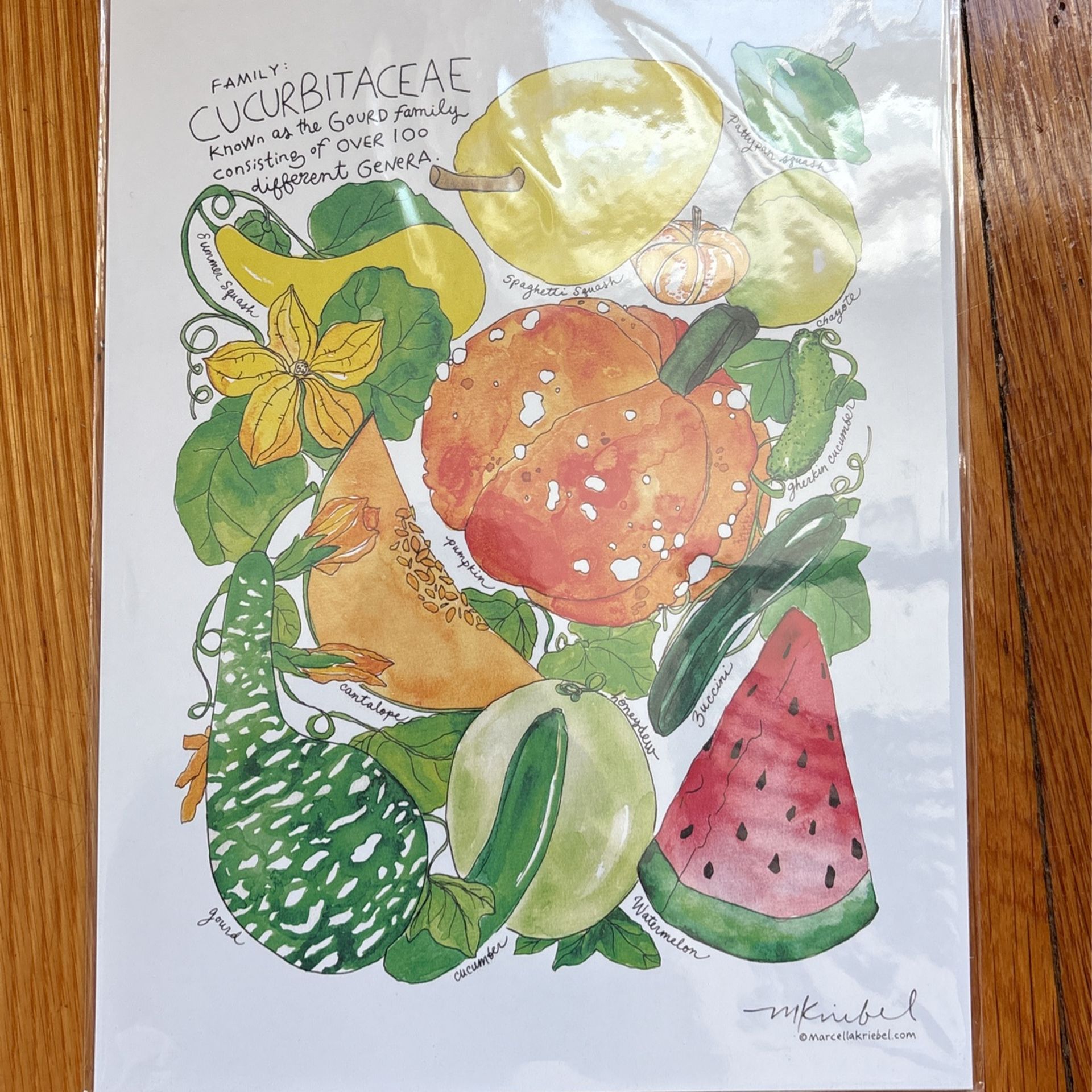 Set Of Watercolor Prints - Brand New!