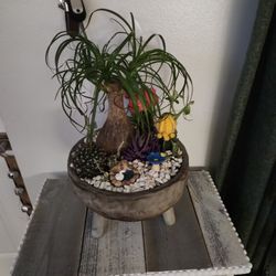 Fairy Garden