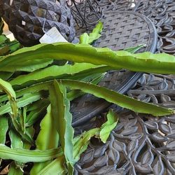 Fresh Cuts Dragon Fruit $5 $10 Each
