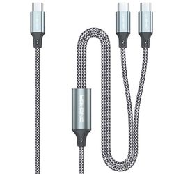 100W 2-in-1 USB-C Cable 4FT,USB C to USB Type C Cable