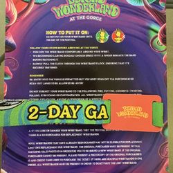 Beyond Wonderland 2-day GA Wristband (1)
