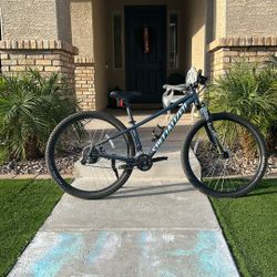 Specialized rock hopper small