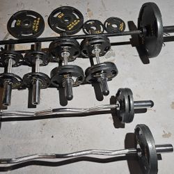 Gold Gym