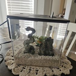 Betta Fish Tank