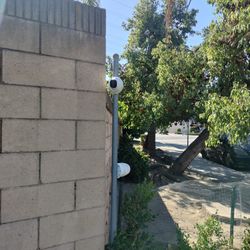 Security Cameras ⭐⭐⭐⭐⭐