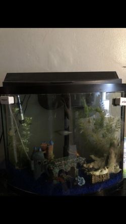 50 Gallon Fish tank