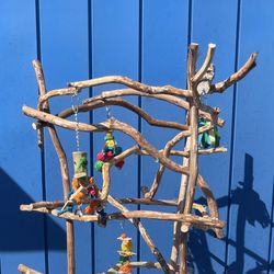 African Grey - Amazon Parrot Perch Tree - All Natural Hard n Durable Ribbon Wood ! Breeder Direct Low Wholesale Price ! 