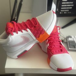 NIKE LEBRON WITNESS 8 DUNKIN DONUTS SHOES SIZE 10 KINGS & QUEENS BASKETBALL PINK WHITE ORANGE LION NEW RARE SPORTS LE BRON SPECIAL EDITION ZAPATOS