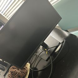 HP Monitor
