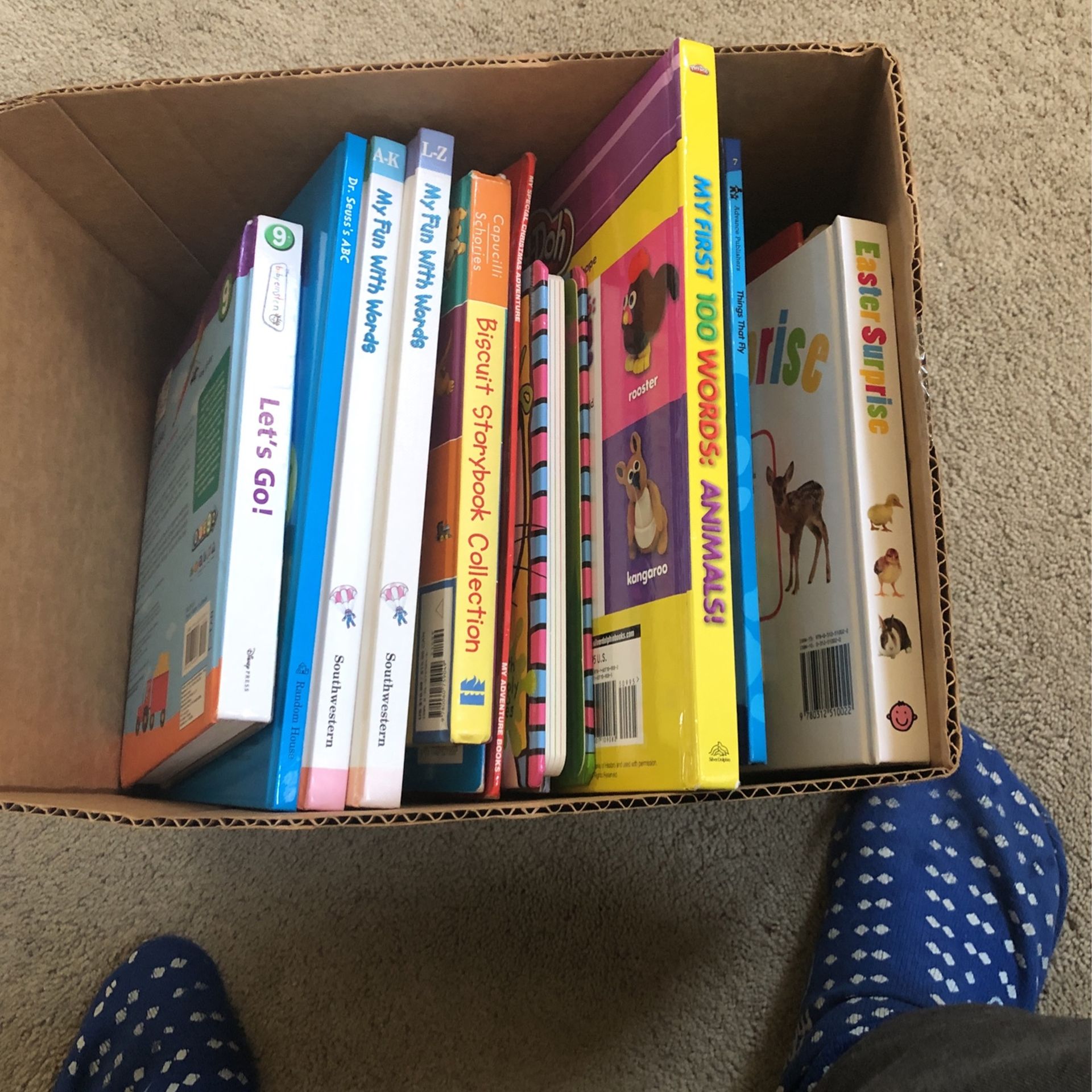 Little Children’s Books/booklets